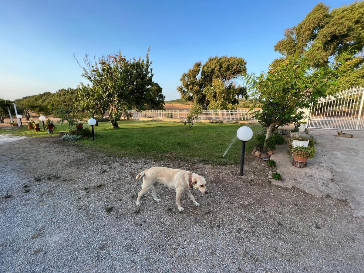The Arches House Bed And Breakfast Iun F1092 Alghero Exterior photo